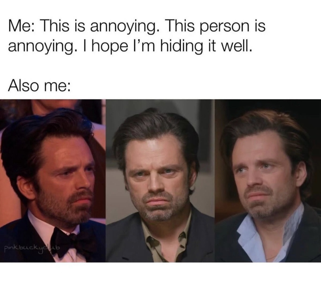 20 Memes That Will Make You Laugh So Hard, Your Neighbor Will Knock on Your Door 18 This person is annoying