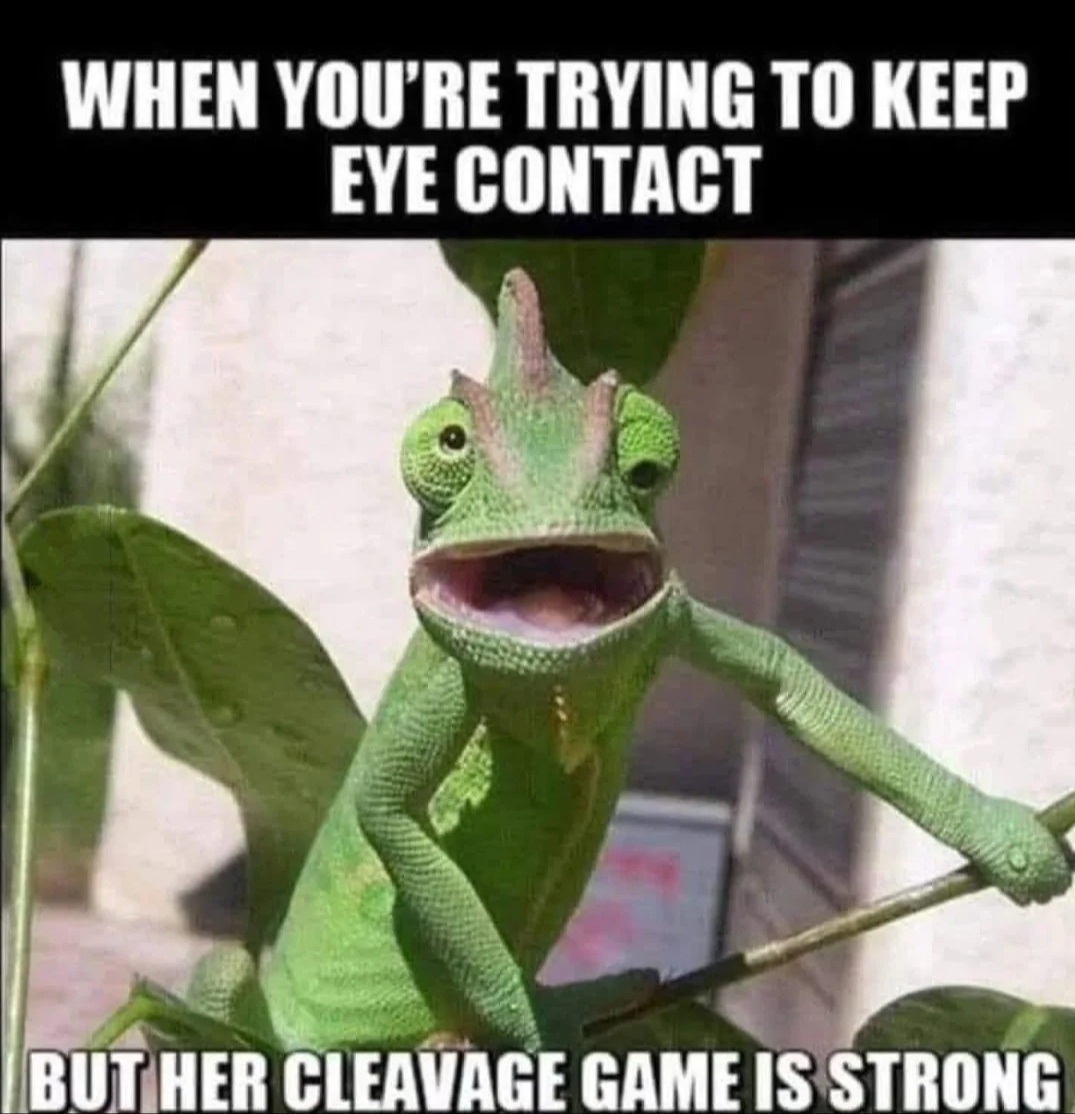 20 Kinda Naughty Memes That Still Think They're Innocent 12 Trying to keep eye contact - Kinda Naughty Memes