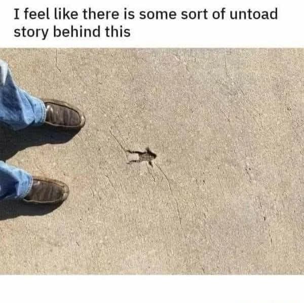 20 Random Memes That Are Just Vibes, No Plot 17 Untoad story