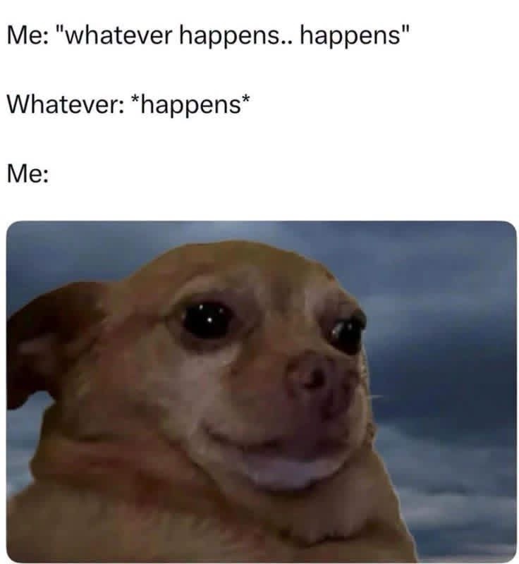25 Stress Memes That Are Basically Just Internal Screaming 27 WHatever happens