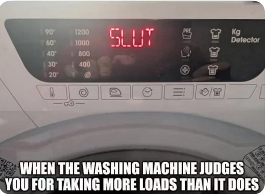24 Naughty Memes That Make Eye Contact and Don’t Look Away 16 Washing machine judges you - Naughty Memes