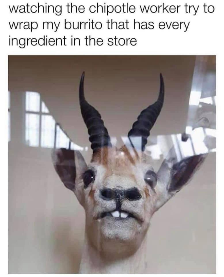 20 Memes That Collapse in Meaning the Harder You Try to Explain Them 18 Watching the chipotle worker