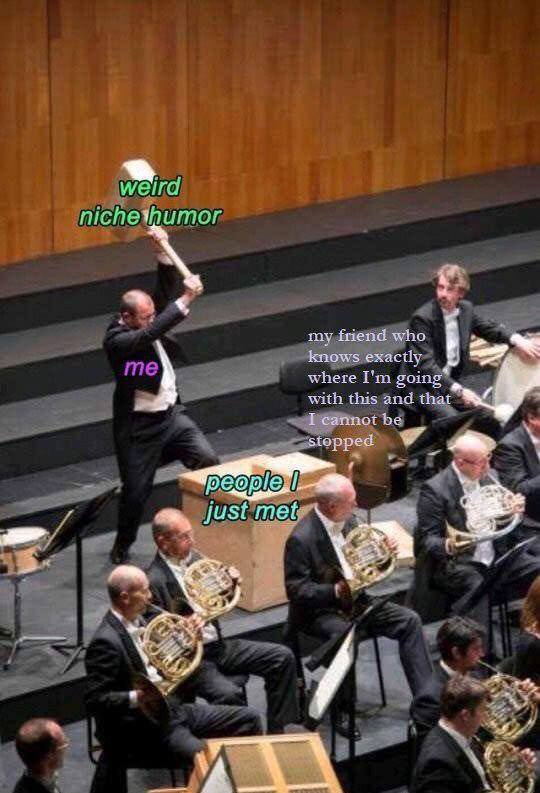 20 Memes That Hit You Like a Soggy Sock to the Face 15 Weird niche humor