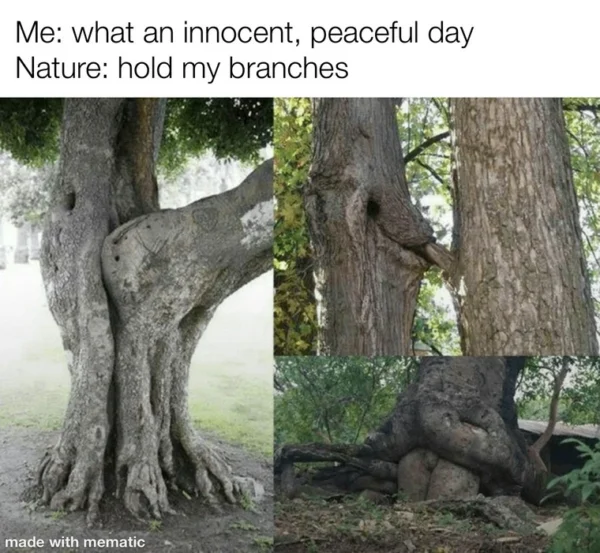 20 Memes That Make Less Sense the Longer You Laugh 18 What an innocent day
