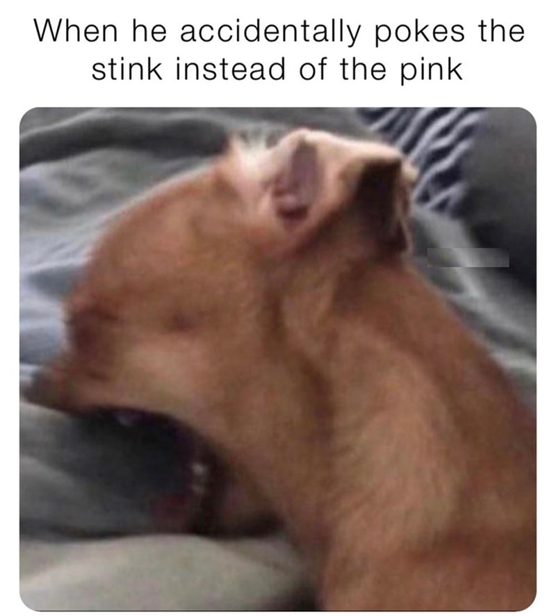 20 Memes That Are Definitely Up to Something Under the Covers 14 When he accidentally