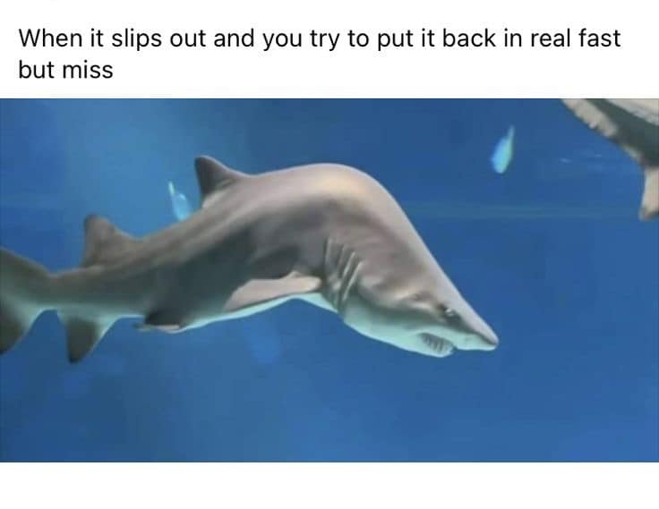 30 Steamy Memes That Are Basically Just Thirst Traps in Meme Form 24 When it slips out