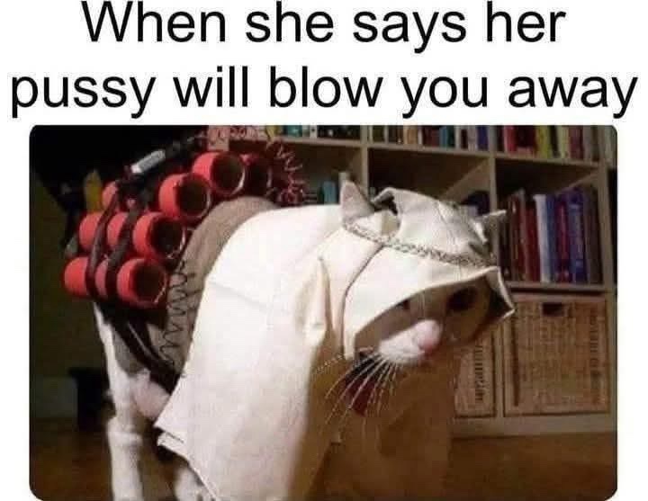 20 Memes That Are Funnier Than Your Last Five Life Decisions 16 When she says