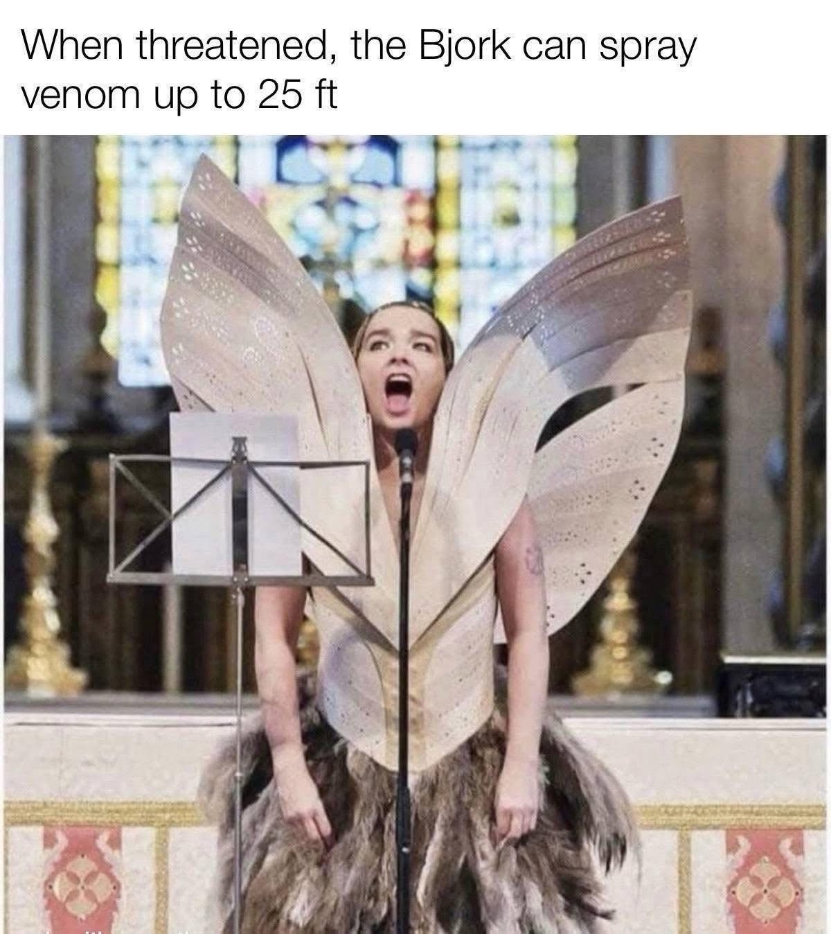 20 Hilarious Memes That Forgot What They Were Doing 19 When threatned