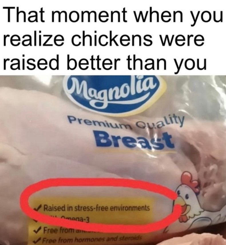 25 Laugh-Out-Loud Memes to Elevate Your Mood Instantly 27 When you realise
