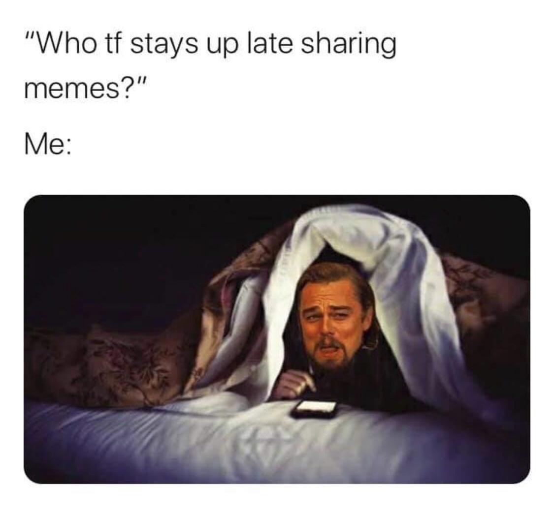 20 Random Memes That Got Lost on Their Way to Logic 16 Who tf stays up