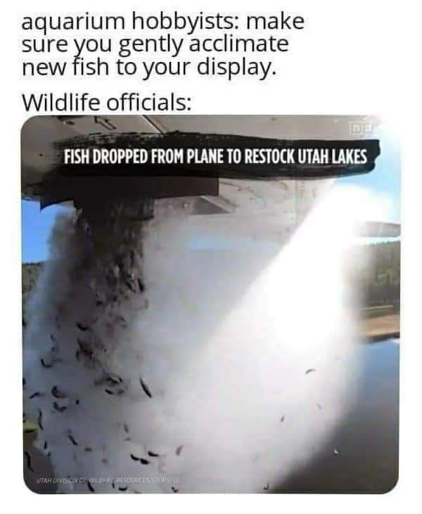 21 Gloriously Useless Memes to Confuse and Amuse 21 Wildlife officials