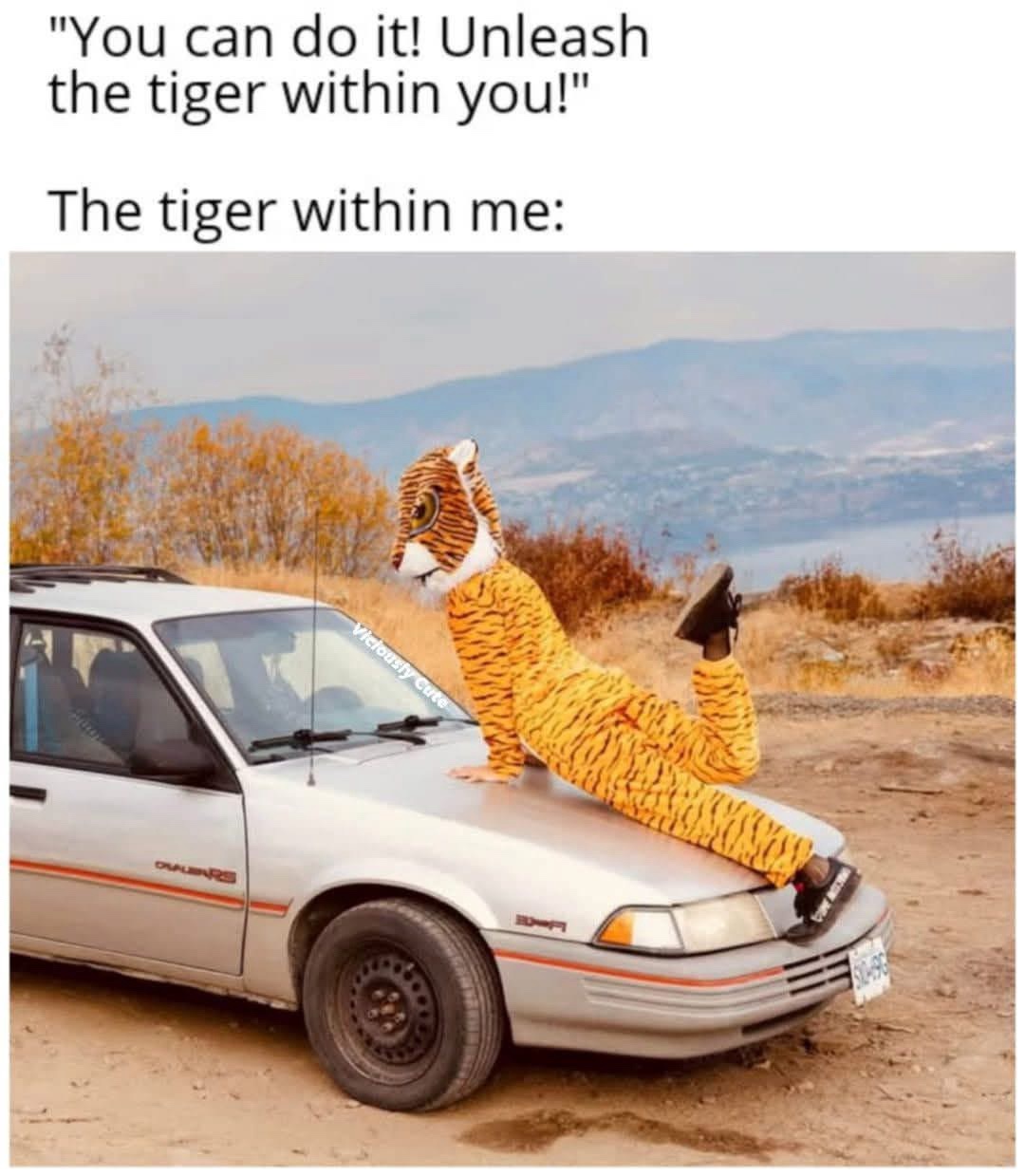 20 Memes Funnier Than That One Time You Tried Being Serious 20 You can do it