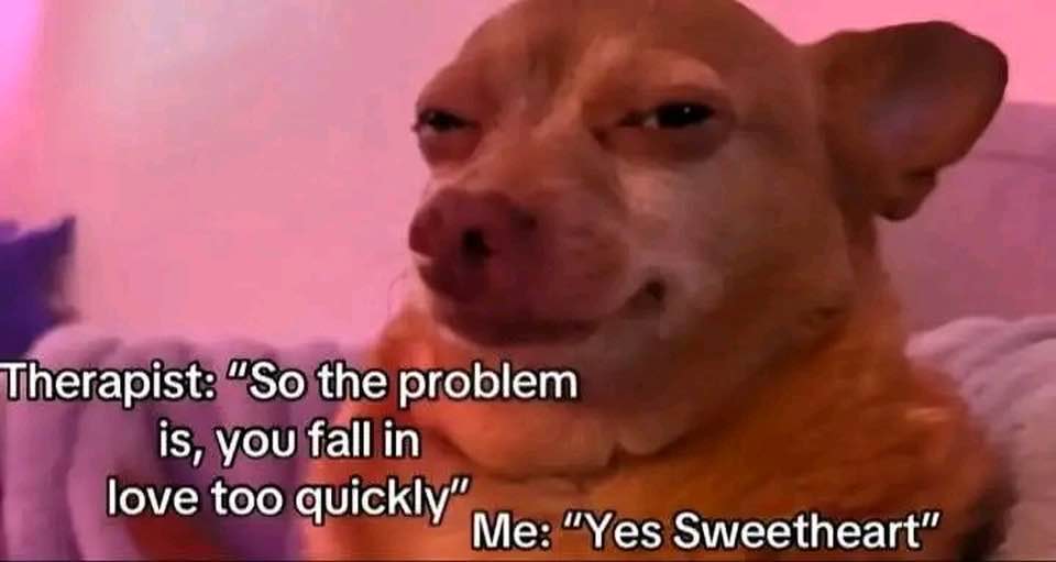 30 Life Memes for Anyone Who Needs a Dose of Reality and Humor 32 You fall in love