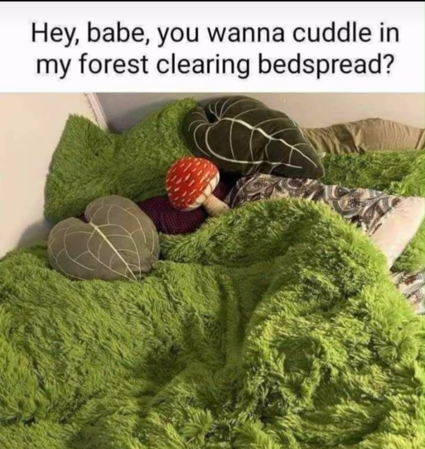 30 Memes That Broke the Laws of Gravity and Common Sense 30 You wanna cuddle