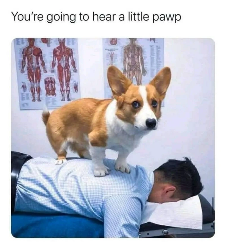 20 Memes That Are Funnier Than That One Friend Who Always Tells the Same Joke 20 Youre going to hear
