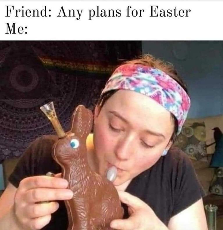 30 Egg-cellent Easter Memes That Will Crack You Up 27 any plans for easter