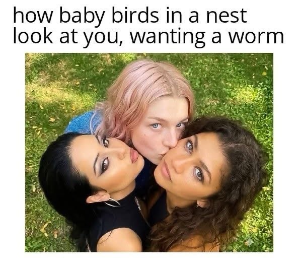 30 Memes That'll Make Your Jaw Drop 28 baby birds in nest