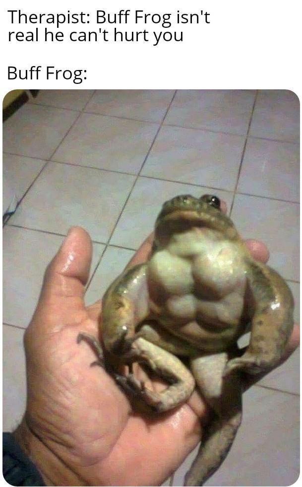 20 Memes that skipped logic and went straight for laughs 3 buff frog