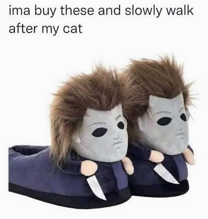 20 Memes That Are Dumb, Random, and Weirdly Perfect 4 buy these