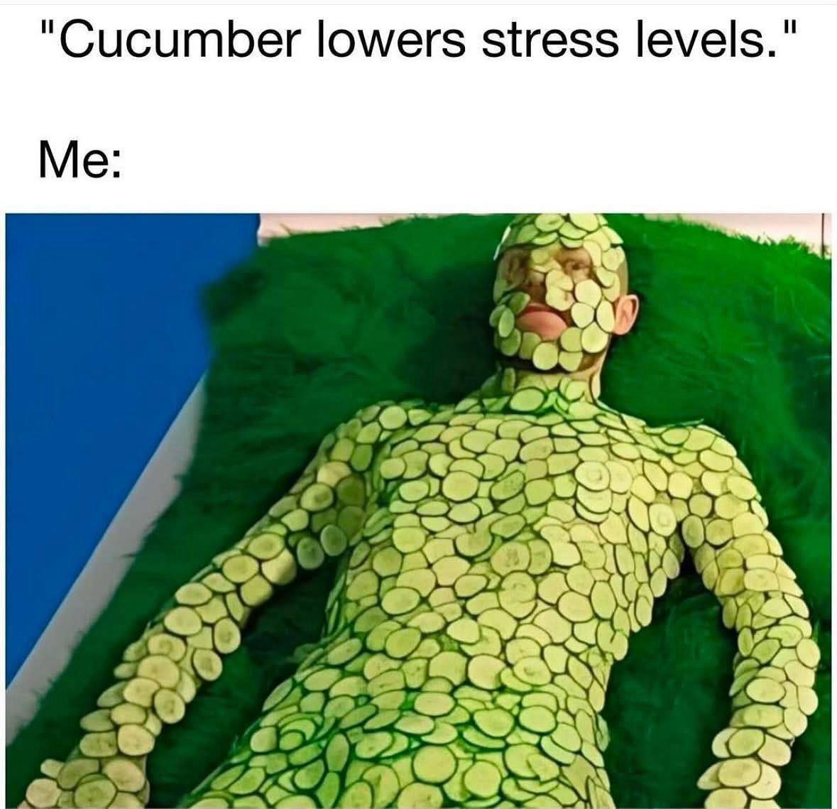 25 Stress Memes That Are Basically Just Internal Screaming 23 cucumber lowers stress level