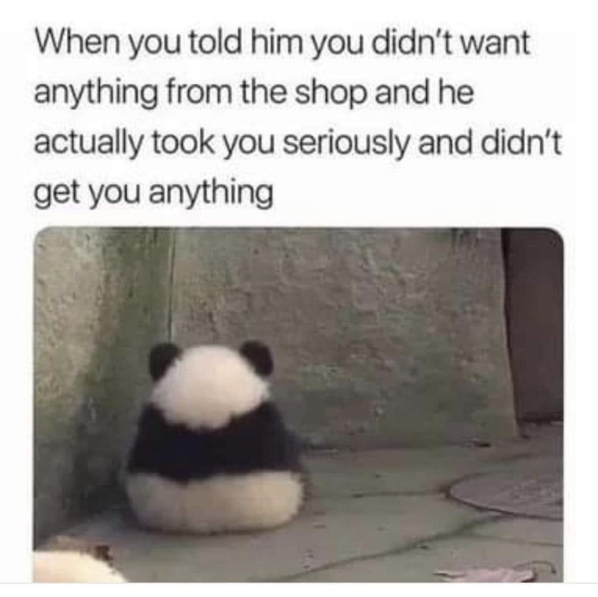 20 Memes That Are Like a Free Trial for Happiness 2 dnt want anything