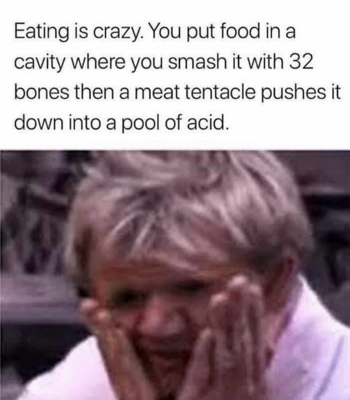 20 Memes That Are Dumb, Random, and Weirdly Perfect 7 eating is crazy