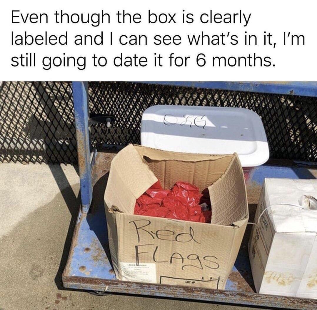 20 Memes That Are Like a Free Trial for Happiness 3 ed flags