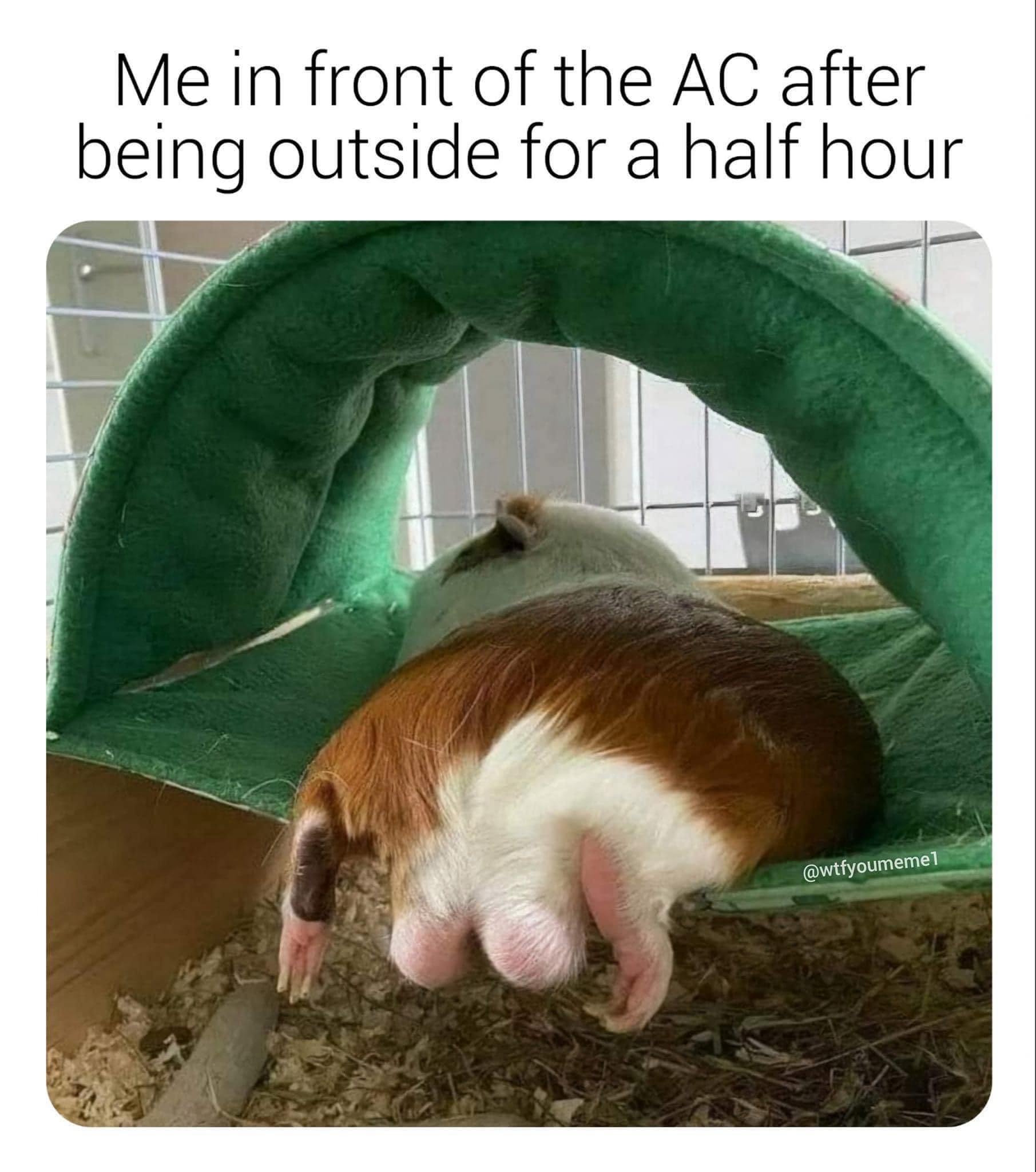 20 Memes That Are Like a Free Trial for Happiness 4 front of the ac