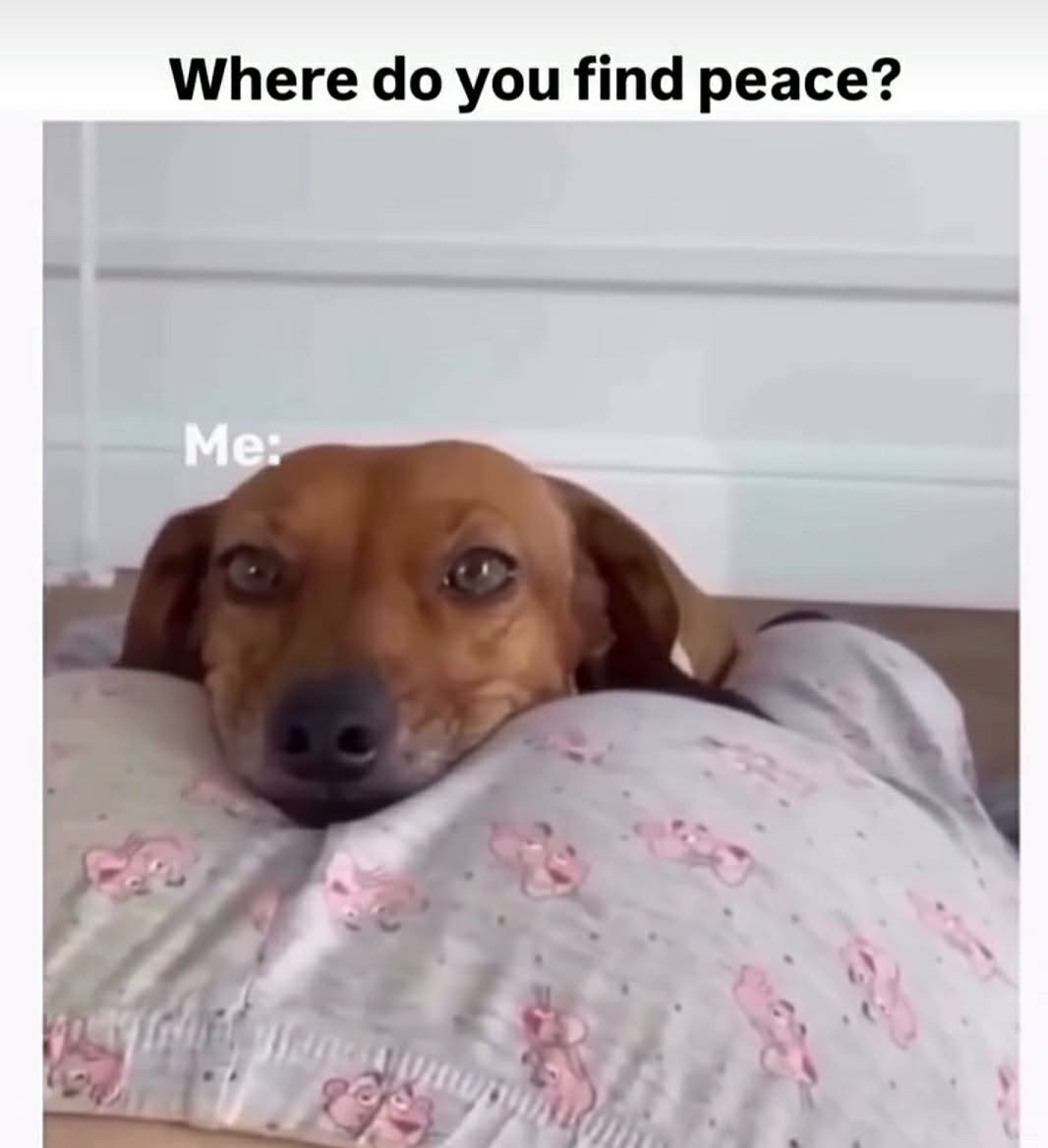 30 Memes That'll Make Your Jaw Drop 29 here do ty find peace