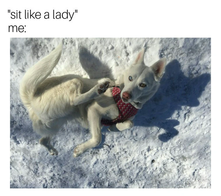 24 Memes That Should Be Illegal but Aren’t (Yet) 12 it like a lady