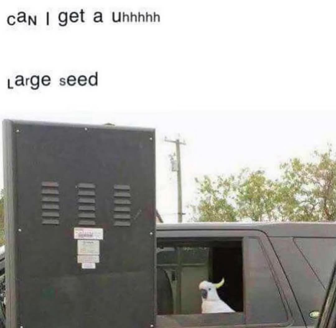 20 Funny Memes That Just… Happened 10 large seed