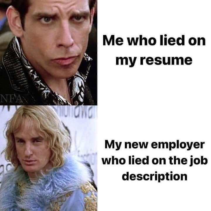 20 Memes That Are Like a Free Trial for Happiness 9 lied on resume