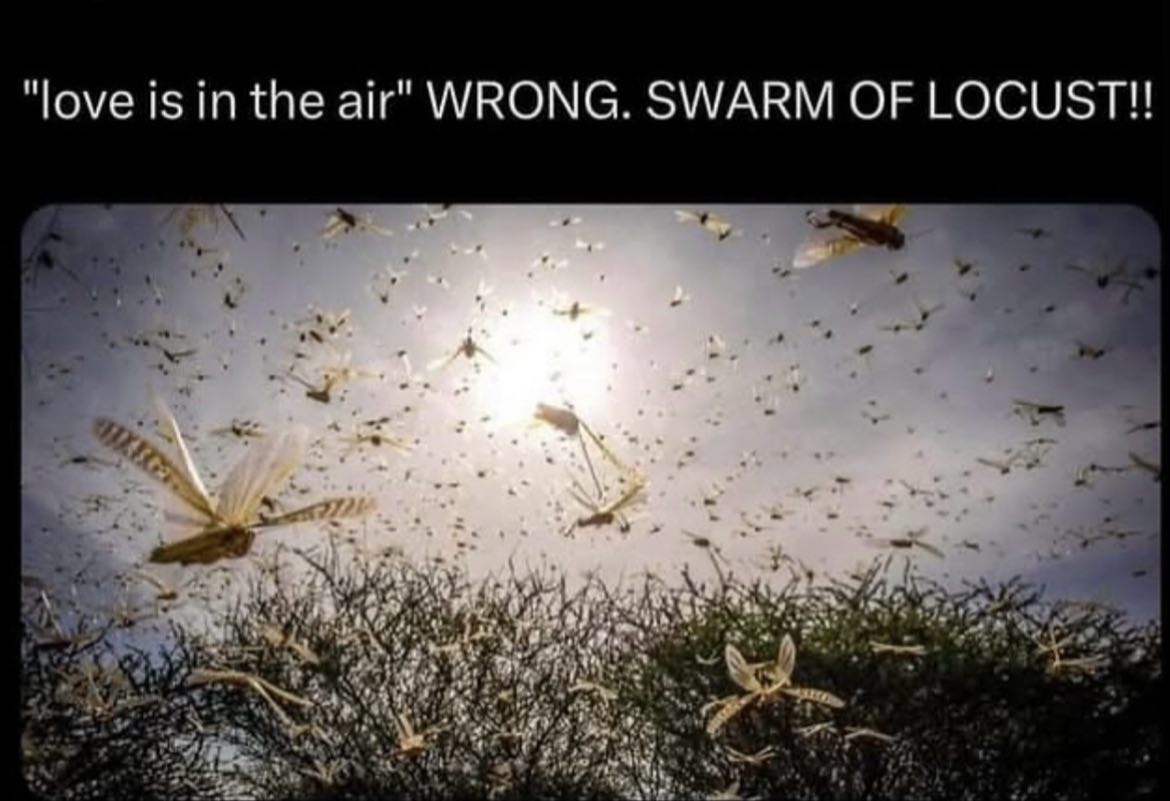 20 Memes That Hit You Like a Soggy Sock to the Face 7 love is in the air