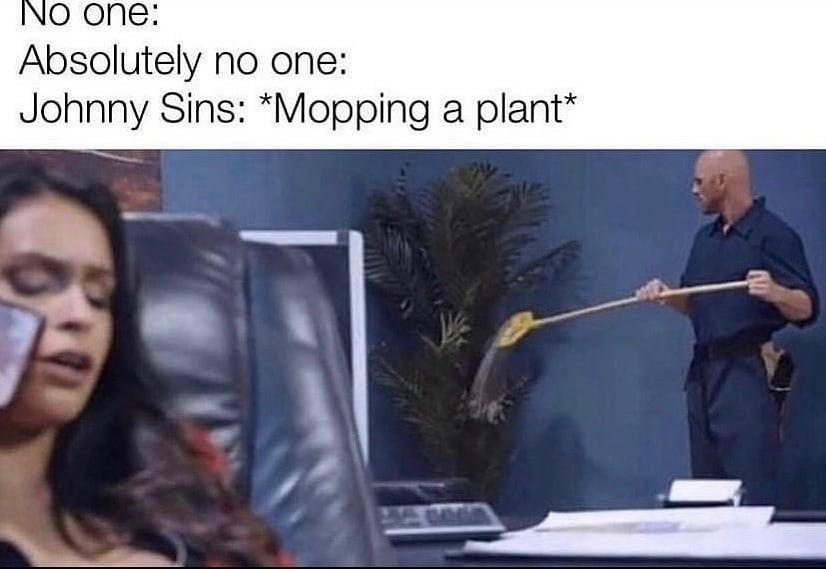 mopping a plant