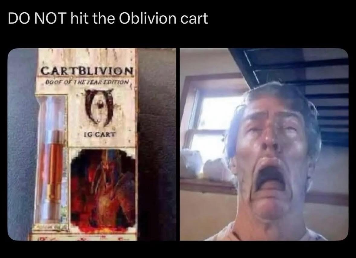 20 Funny Memes That Just… Happened 13 oblivion cart