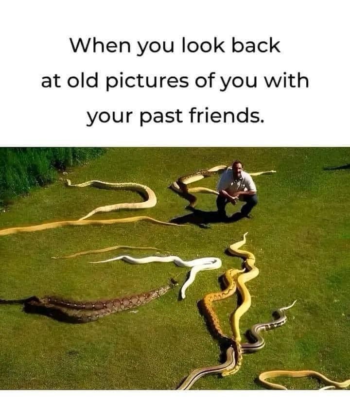 past friends