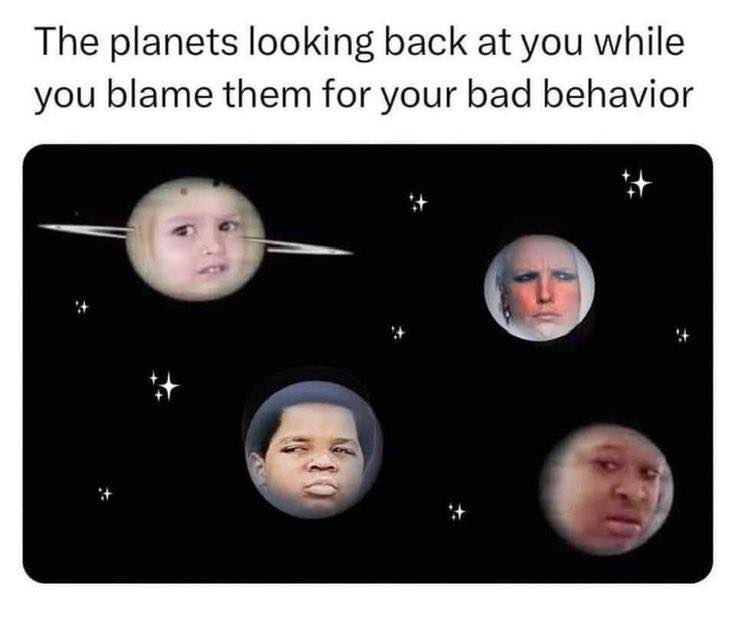 plantes looking back