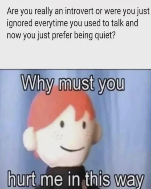 20 Memes That’ll Cause a Minor Earthquake in Your Brain 13 re you really an introvert