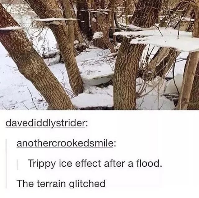 35 Glitches In The Matrix That Will Freak You Out 33 terrain had a glitch moment