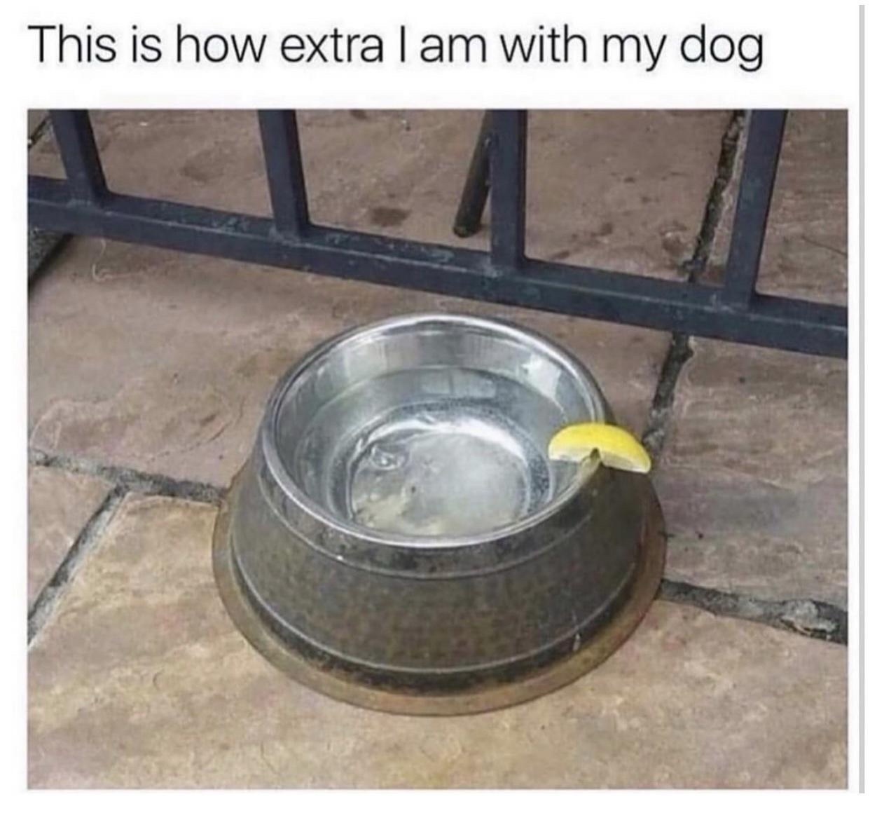 20 Memes That Collapse in Meaning the Harder You Try to Explain Them 17 this is how extram Iam