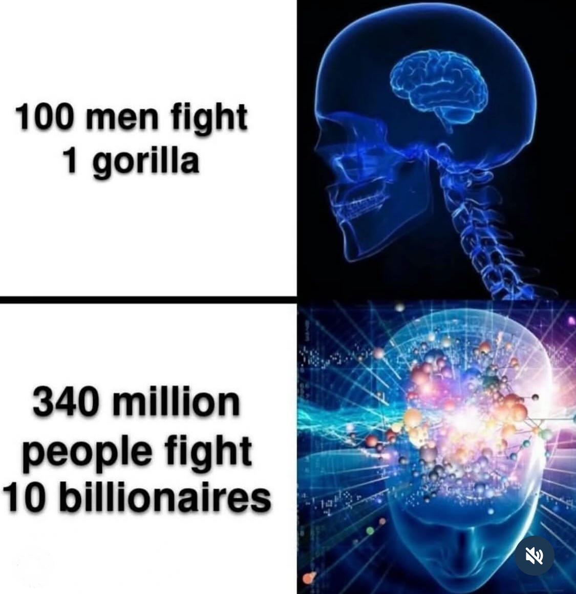 20 Random Memes That Passed the Vibe Check 1 100 men fight 1 gorilla
