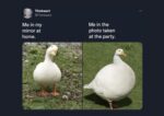 20 Funny Memes That Are Basically Your Inner Monologue - FG