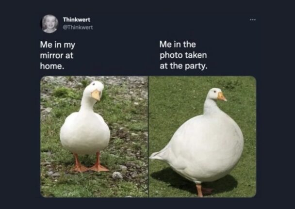 20 Funny Memes That Are Basically Your Inner Monologue - FG