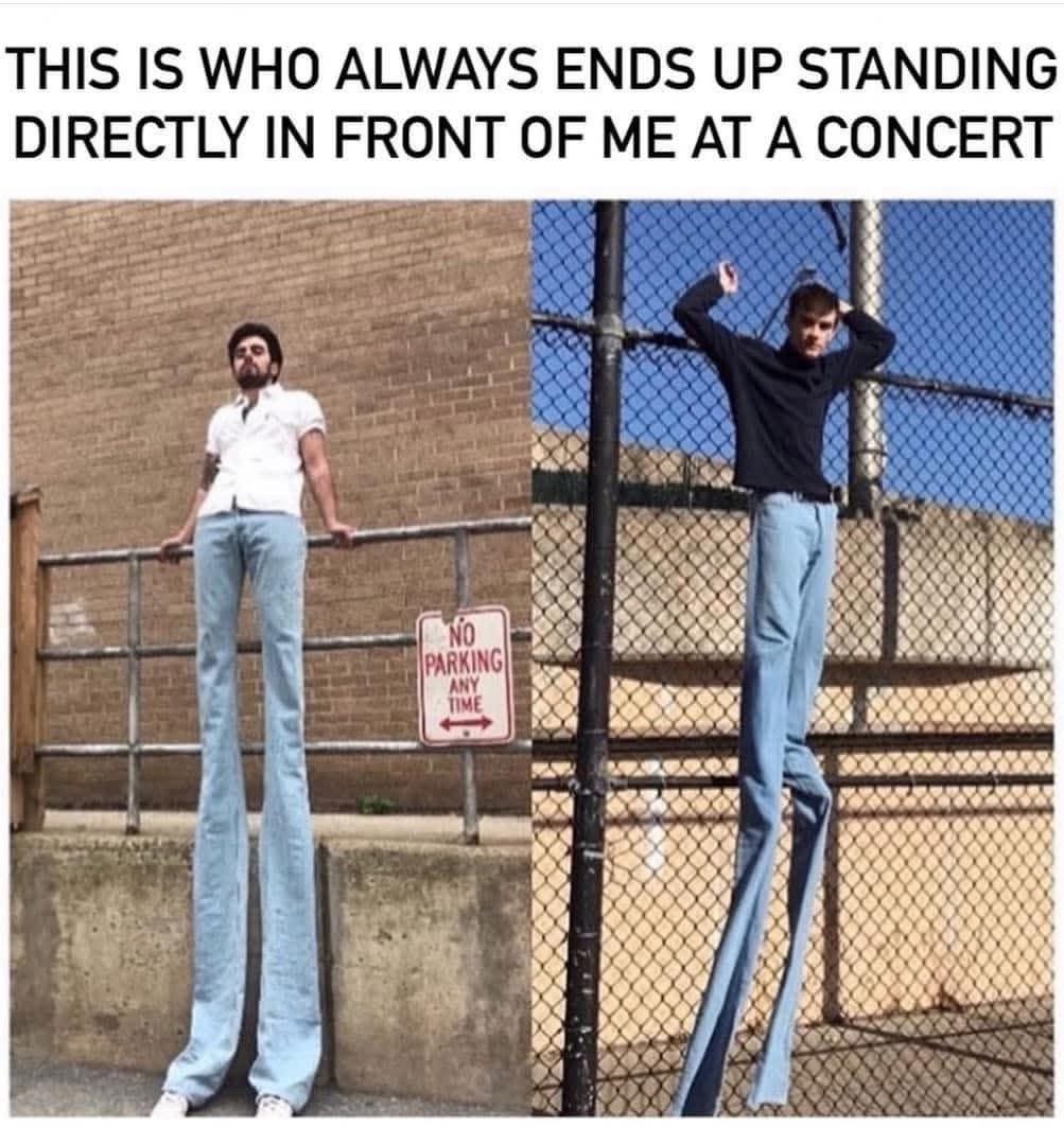 20 Extremely Random Memes You’ll Regret Not Clicking On 1 Always ends up standing