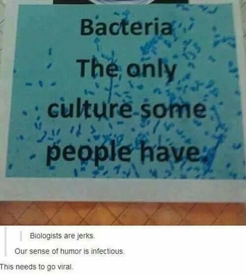 20 Memes to End the week with some laughs 5 Bacteria the only culture some people have