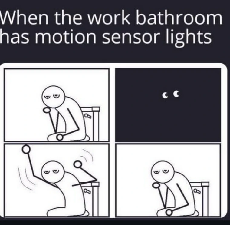 20 Random Memes That Passed the Vibe Check 4 Bathroom has motion sensor