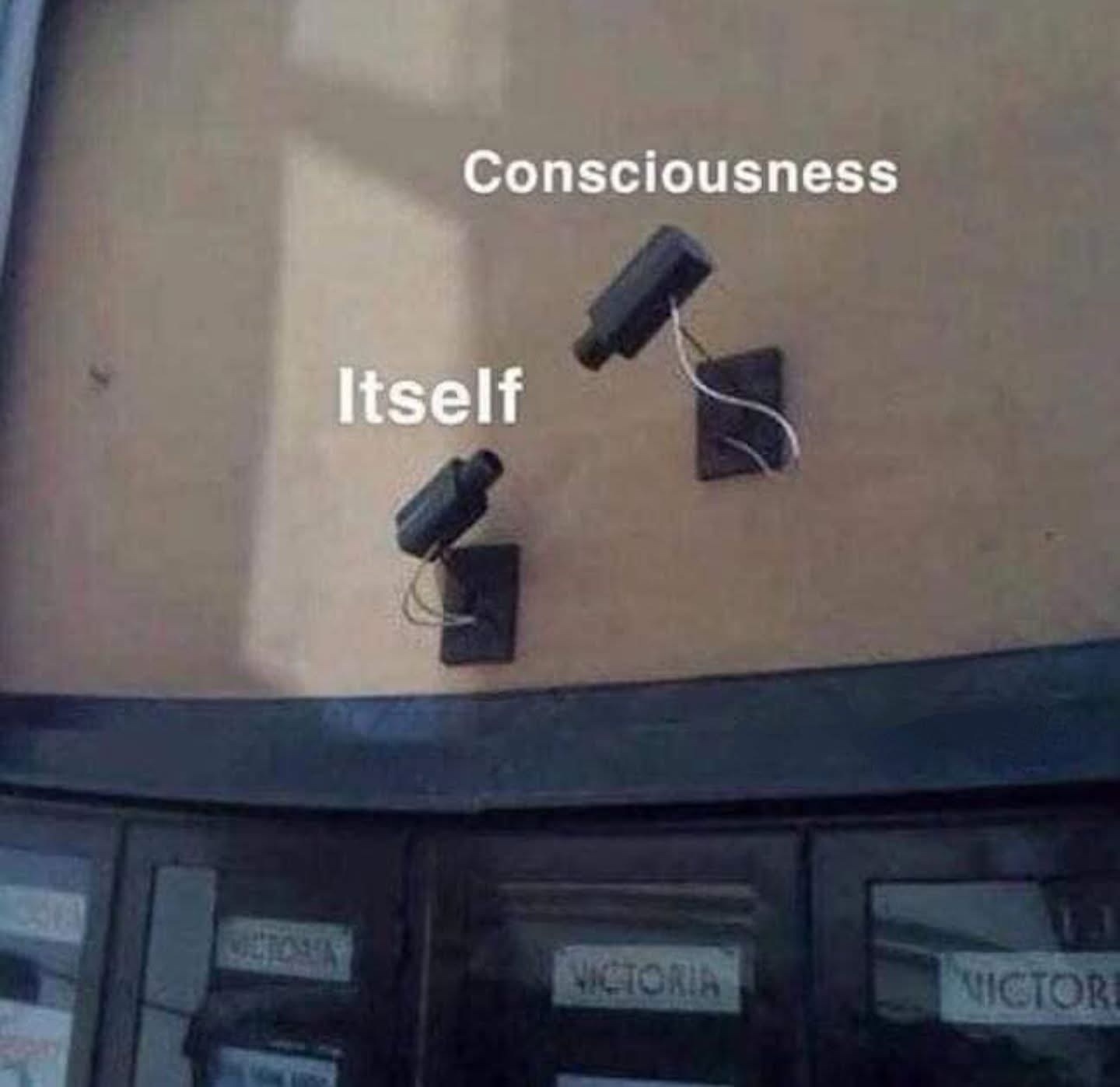 20 Memes That Walked in Wearing Nothing but Punchlines 2 Conciousness vs itself