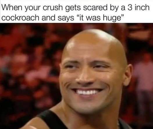 20 Naughty Memes That Just Bit Their Lip at You 1 Crush gets scared