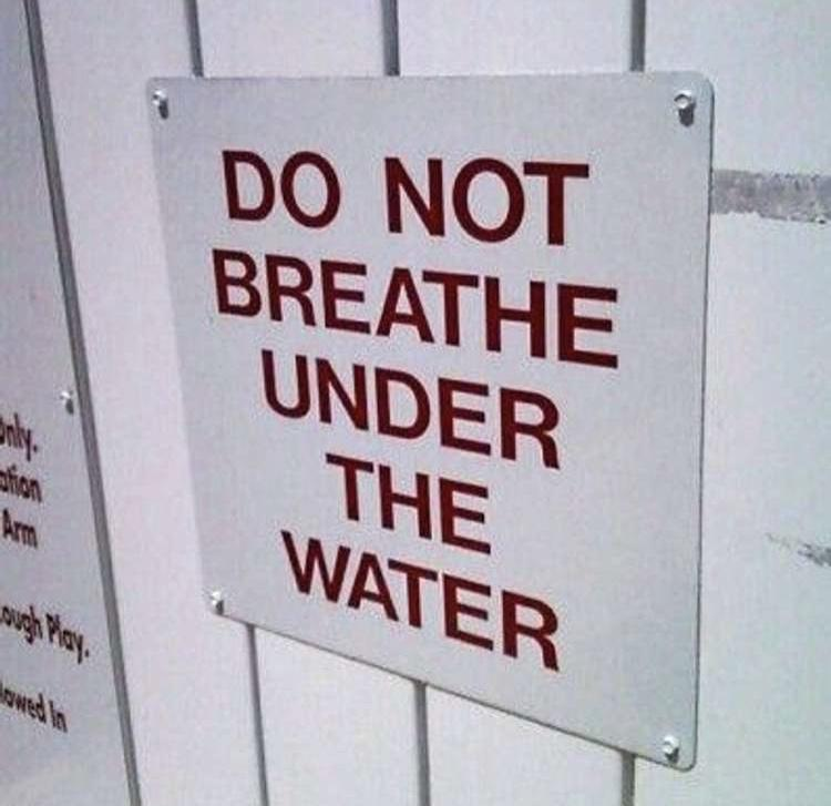 20 Gloriously Pointless Memes That’ll Still Make Your Day 2 Do not breathe