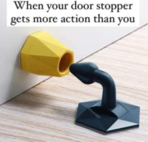 20 Memes That Are Funny, Filthy, and Fully Unapologetic 6 Door stopper gets more action